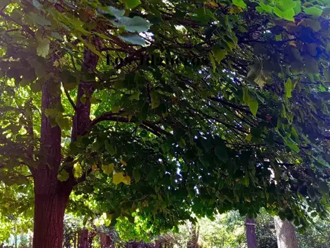 Terreno en Venta en Belén de Escobar, Partido de Escobar