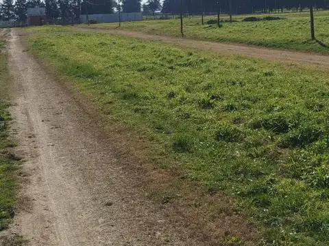 Terreno en Venta en Abasto, Partido de La Plata