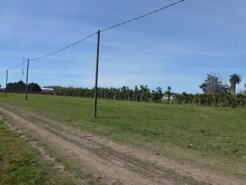Terreno en Venta en San Pedro, Partido de San Pedro