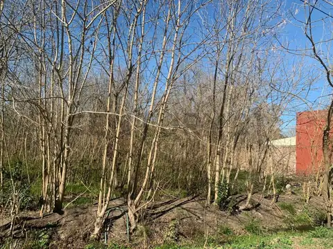 Terreno en Venta en City Bell, Partido de La Plata
