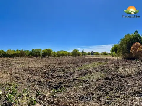 Terreno en Venta en Longchamps, Partido de Almirante Brown