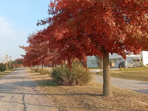Terreno en Venta en Los Juncos, Countries y Barrios Cerrados en Lujan