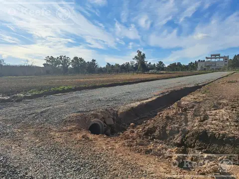 Terreno en Venta en Centro Agricola el Pato, Partido de Berazategui