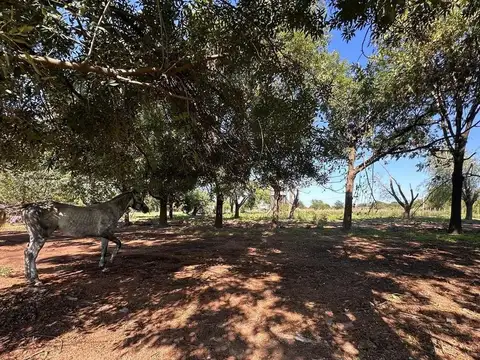 Terreno en Venta en Diego Gaynor, Partido de Exaltación de la Cruz
