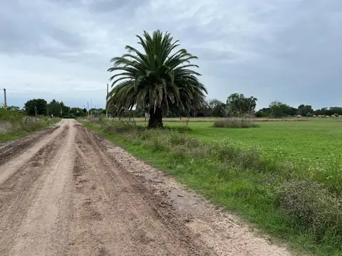 Terreno en Venta en Chascomus, Partido de Chascomús