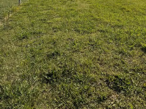 Terreno en Venta en Los Talas, Partido de Berisso