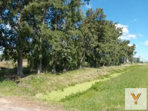 Terreno en Venta en Abasto, Partido de La Plata