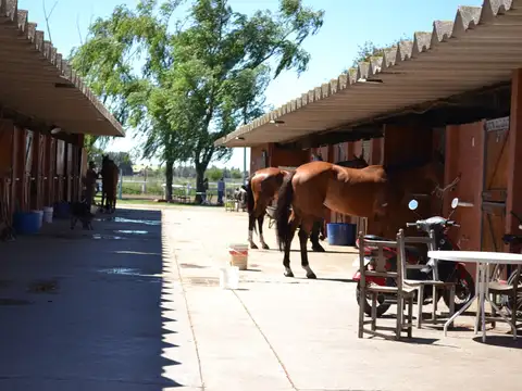 Terreno en Venta en Country Club Los Cardales, Countries y Barrios Cerrados en Campana