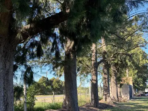 Terreno en Venta en Arana, Partido de La Plata