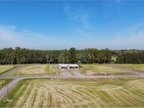 Terreno en Venta en Alejandro Petion, Partido de Cañuelas