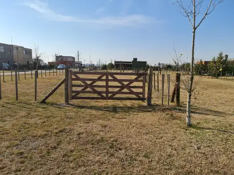 Terreno en Venta en Domselaar, Partido de San Vicente