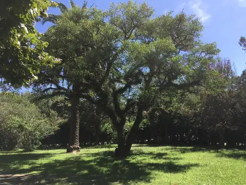 Terreno en Venta en Marcos Paz, Partido de Marcos Paz