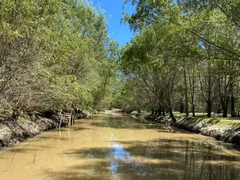 Terreno en Venta en Islas, Partido de San Fernando