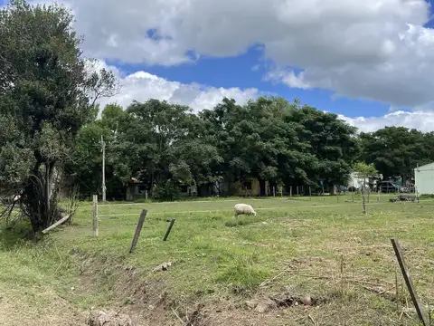 Terreno en Venta en Salvador Maria, Partido de Lobos