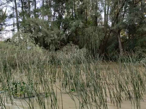 Terreno en Venta en Caraguata, Delta del Tigre