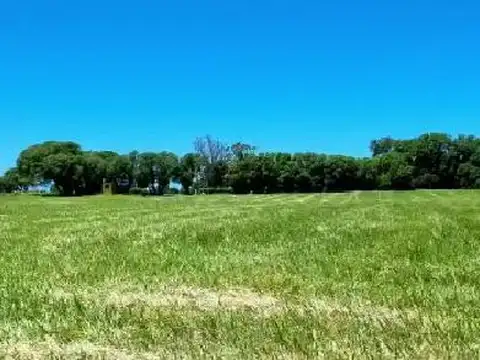 Terreno en Venta en Colonia de Vac Chapadmalal, Partido de General Pueyrredón