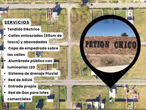 Terreno en Venta en Alejandro Petion, Partido de Cañuelas