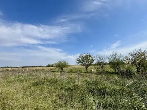 Terreno en Venta en Los Pinares Country Club, Countries y Barrios Cerrados en Exaltacion de la Cruz
