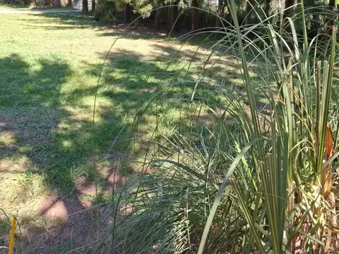 Terreno en Venta en Domselaar, Partido de San Vicente