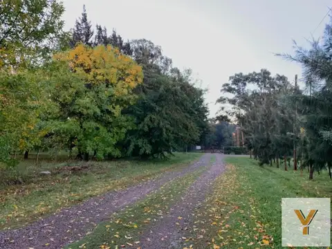 Terreno en Venta en Abasto, Partido de La Plata