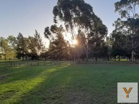 Terreno en Venta en Abasto, Partido de La Plata