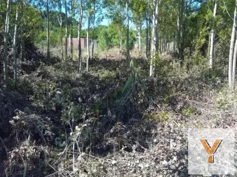 Terreno en Venta en Nueva Atlantis, Partido de La Costa