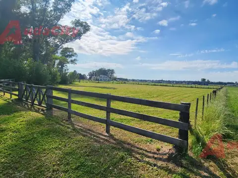 Terreno en Venta en Villa Ruiz, Partido de San Andrés de Giles