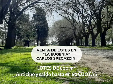 Terreno en Venta en Carlos Spegazzini, Partido de Ezeiza