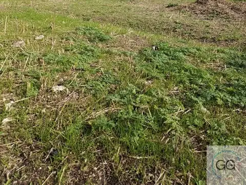 Terreno en Venta en Juan Maria Gutierrez, Partido de Berazategui