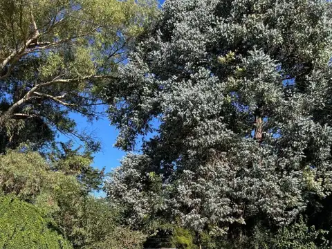 Terreno en Venta en Lobos, Partido de Lobos