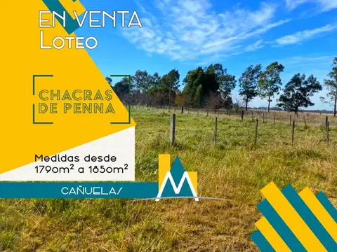 Terreno en Venta en Cañuelas, Partido de Cañuelas