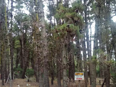Terreno en Venta en Mar Azul, Partido de Villa Gesell