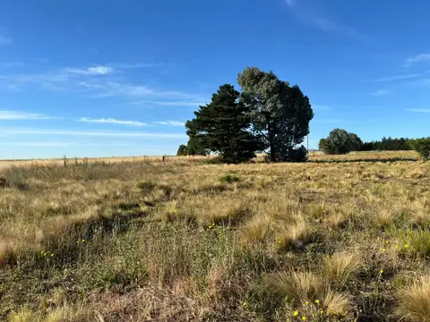 Terreno en Venta en Sierra de la Ventana, Partido de Tornquist
