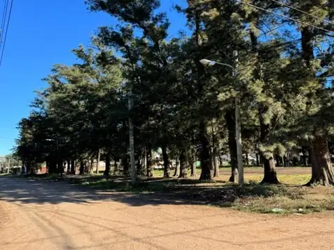 Terreno en Venta en El Jaguel, Partido de Esteban Echeverría