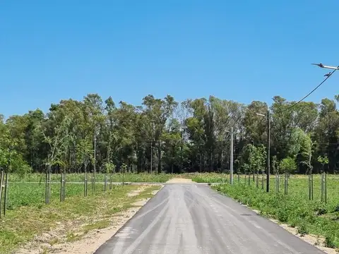 Terreno en Venta en Longchamps, Partido de Almirante Brown