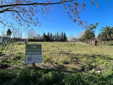 Terreno en Venta en Salvador Maria, Partido de Lobos
