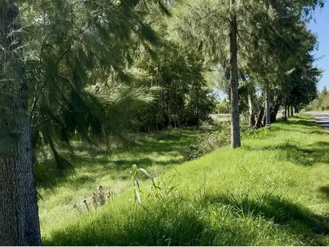 Terreno en Venta en Salvador Maria, Partido de Lobos