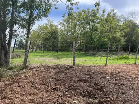 Terreno en Venta en Arturo Segui, Partido de La Plata