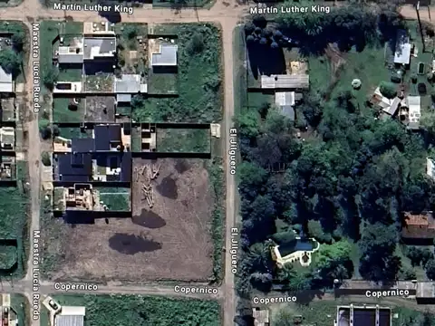 Terreno en Venta en Villa Zapiola, Paso del Rey