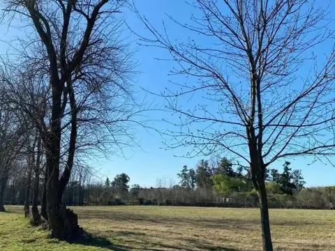 Terreno en Venta en La Asunción Club de Campo, Countries y Barrios Cerrados en Lujan