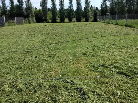 Terreno en Venta en San Pedro, Partido de San Pedro