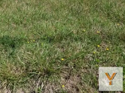 Terreno en Venta en Santa Elena, Partido de Mar Chiquita