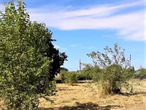 Terreno en Venta en Centro Agrícola el Pato, Partido de Berazategui