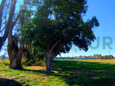 Terreno en Venta en La Asunción Club de Campo, Countries y Barrios Cerrados en Lujan