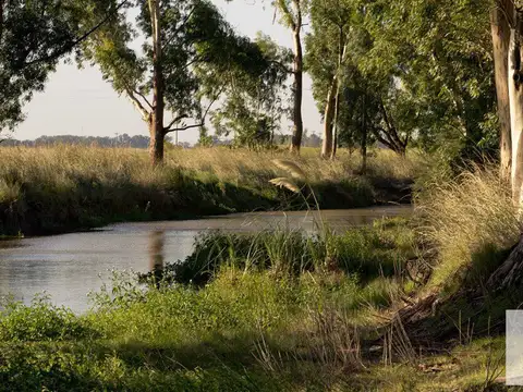 Terreno en Venta en Area 60, Countries y Barrios Cerrados en Coronel Brandsen
