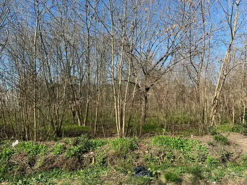 Terreno en Venta en City Bell, Partido de La Plata