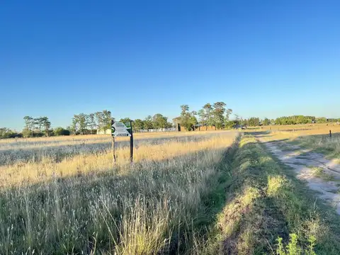 Terreno en Venta en Roque Perez, Partido de Roque Pérez