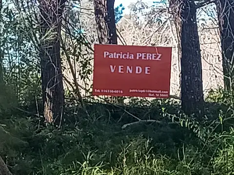 Terreno en Venta en Delta del Tigre, Partido de Tigre