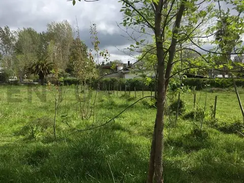 Terreno en Venta en Coronel Brandsen, Partido de Brandsen