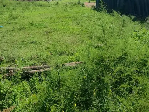 Terreno en Venta en La Unión, La Union